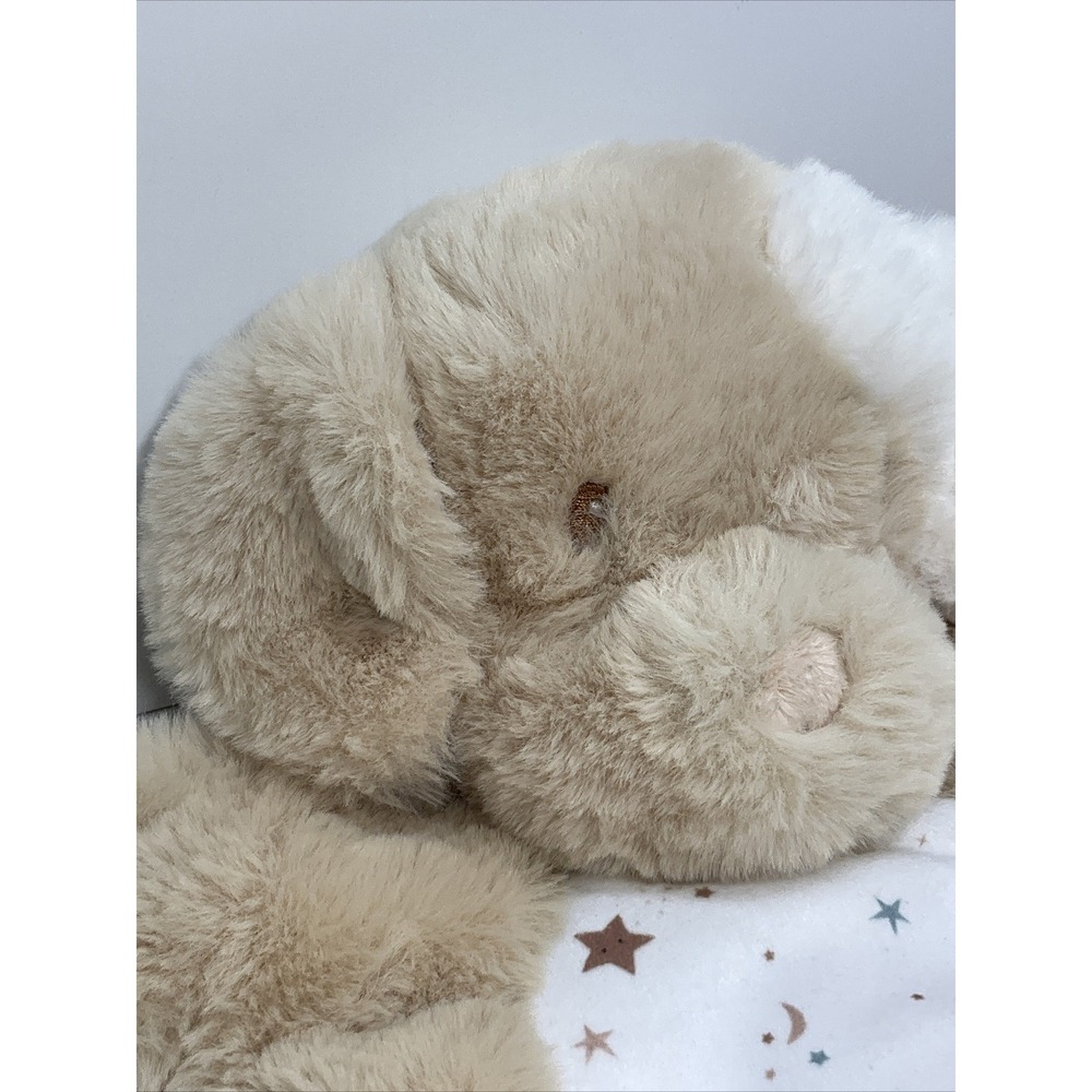 Douglas baby tan/cream puppy Super Soft Unisex Lovey Sewn Eyes & Nose 2023 - Picture 4 of 13